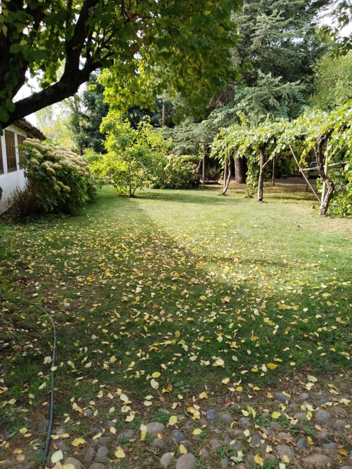 La Casa De Adobe Natural Y Mas Bulnes Exteriör bild
